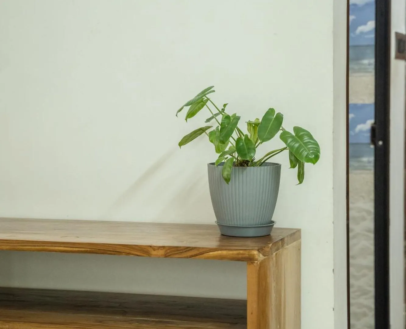 Apartment Tropical Villa Varkala