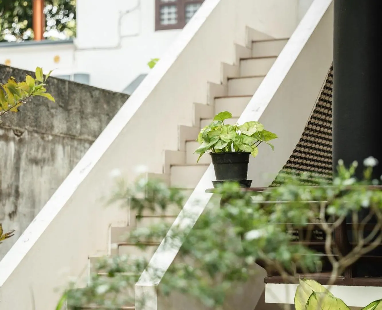 Tropical Villa Varkala Apartment
