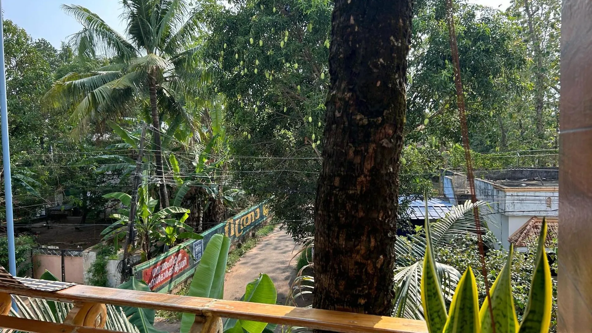 Tropical Villa Varkala India